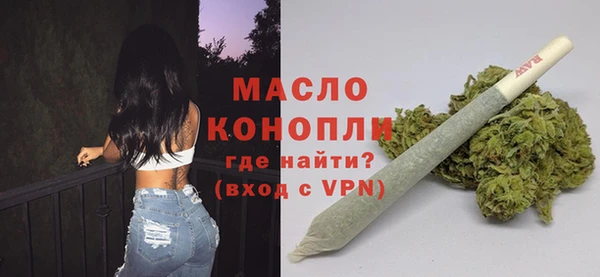 гидра Володарск