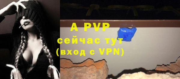 гидра Володарск