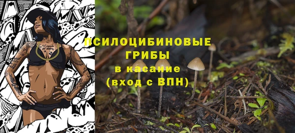 гидра Володарск