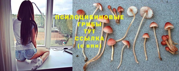 альфа пвп Волоколамск