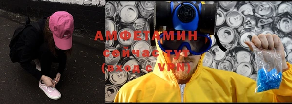 гидра Володарск