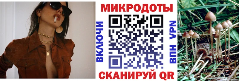 Галлюциногенные грибы мухоморы  где купить наркотик  гидра как зайти  Дальнереченск 